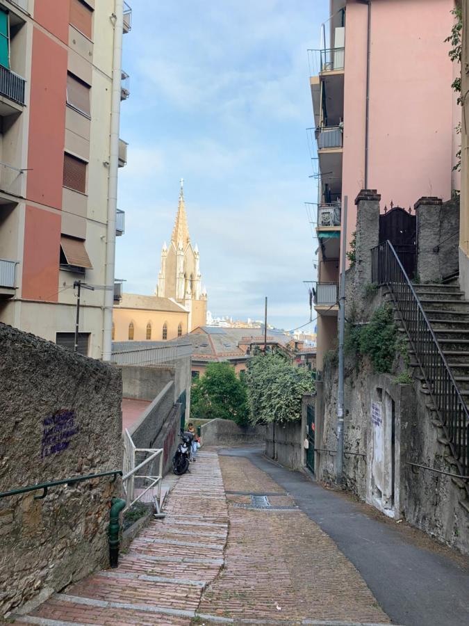 La Casetta Del Bianconiglio