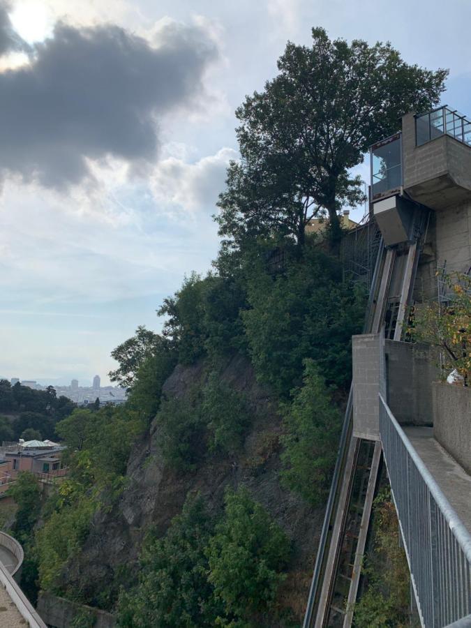 La Casetta Del Bianconiglio Genova
